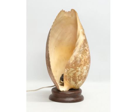 A large Early 20th Century shell table lamp. Circa 1930. 24x46cm
