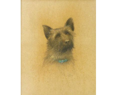 Snow Gibbs (1882-1970),
a portrait of a scottie dog,
signed,
chalk and pastels,
43 x 34 cm CONDITION REPORT: Light foxing