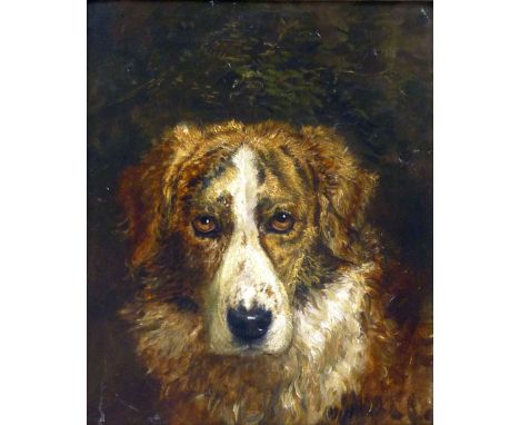 British School,
a head portrait of a dog,
oil on canvas,
34 x 28 cm 
*Remains of gallery label to frame CONDITION REPORT: Som