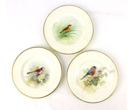 A set of three Royal Worcester cabinet plates entitled 'Grasshopper', 'Longtail' and 'Bull Finch, d. 16 cm, pdcm 1938 CONDITI