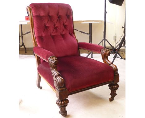 A Victorian oak framed open arm chair with red velvet button backed upholstery, the arms terminating in carved lion heads, su