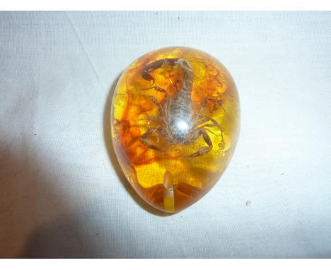 Poisonous scorpion preserved in amber tree resin. UK P&amp;P Group 1 (£16+VAT for the first lot and £2+VAT for subsequent lot