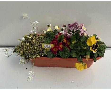 Planted Trough. Not available for in-house P&amp;P 