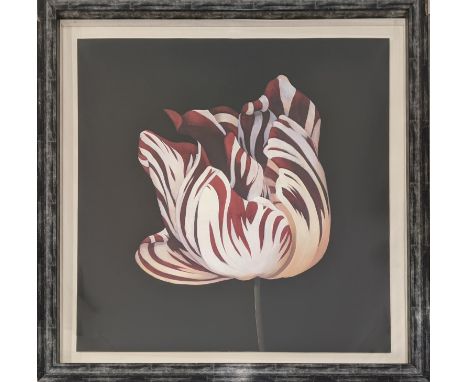 21ST CENTURY SCHOOL, 'Parrot tulip study in red', giclée print, 110cm x 110cm, framed. 