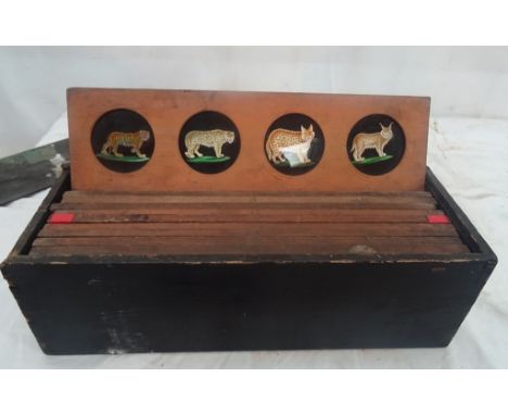 A box of magic lantern slides: planets, astronomy, asteroids, comets, animals, c 1900