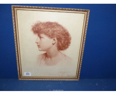 A framed red ink Print Portrait of "Esta" after Frank Dicksee 1885.