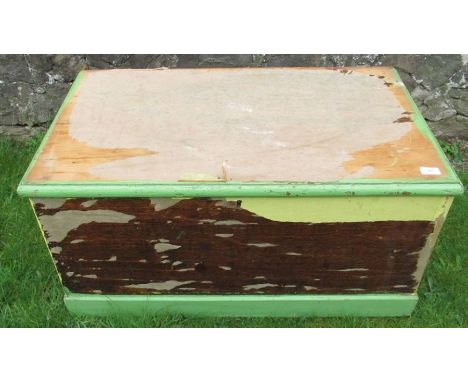 A painted trunk, width 38ins, height 19ins, depth 21ins&nbsp;