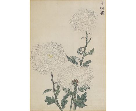 Japanese School, 2 early 20th century colour woodblock prints, botanical studies, 11" x 8", framed 