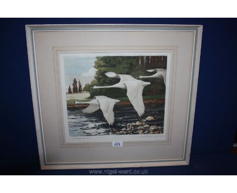 A framed and mounted Lithograph: The River Swans, indistinctly signed in pencil in the margin.