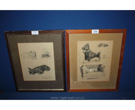 Two framed and mounted Charcoal studies of various Scotch and West Highland terriers.