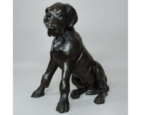 A large Ronnie Jones bronzed model of a Great Dane puppy, 53cm tall