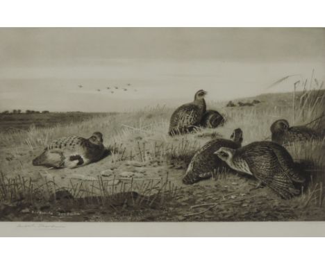 Archibald Thorburn, 1860-1935, Grouse shooting, print, signed in pencil to the margin by the artist with gallery blind stamp 