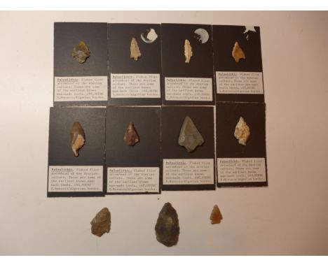 ELEVEN PALEOLITHIC FLINT ARROWHEADS (CIRCA 40,000 B.C.), EIGHT MOUNTED ON CARD WITH EXPLANITORY NOTES 