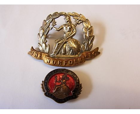 The Norfolk Regiment WWI Cap badge (Bi-metal, lugs) with The Norfolk Regiment Association lapel brooch (Brass/enamel with cra