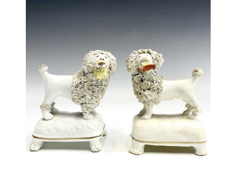 A pair of Staffordshire porcelaneous figures of poodles, each with applied shard decoration and modelled standing on all four