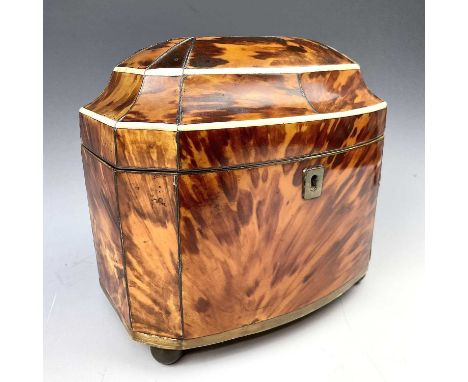 An early Victorian bow front tortoiseshell tea caddy, with two internal lidded compartments, on ball feet, height 17cm, width