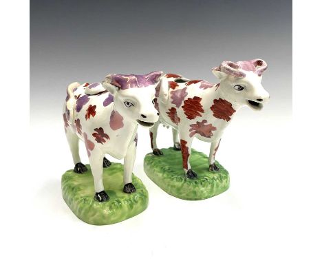 A Staffordshire pottery cow creamer, early 19th century, with sponged pink lustre and iron red decoration on a green mound ba