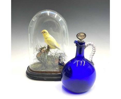 A Victorian taxidermy yellow canary, in naturalistic setting, under a glass dome, height 29cm, together with a Victorian blue