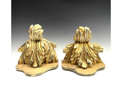 A pair of carved giltwood wall brackets, circa 1900, with acanthas leaf supports, height 23cm, width 25.5cm.Provenance:Alan B