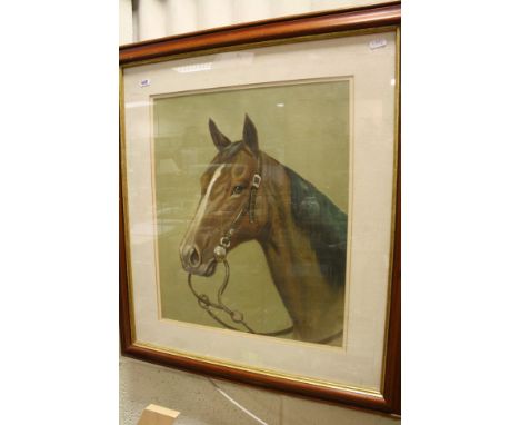 An equine oil painting study portrait of a horse with bridle 