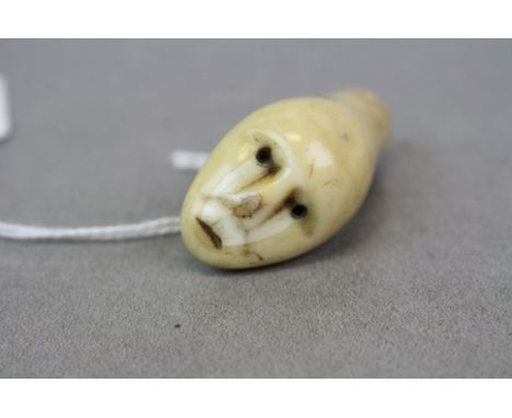 Carved Ivory Netsuke type toggle with dragon &amp; man's face, measures approx 4cm long