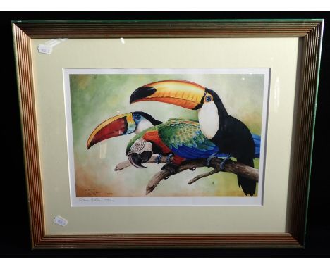 STEVE HUTTON: TOUCANS AND PARROT, 2004, PRINTsigned to the margin 209/1000, framed 45 x 56cm