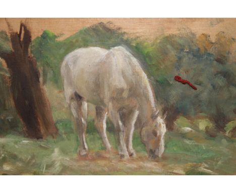 Early 20th Century oil on panel, portrait of a white horse in a landscape, ornate gilt framed, 6.5ins x 8insImage is a little