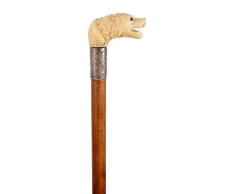 An early 20th century novelty walking stick the carved ivory handle in the form of a barking dogs head with glass eyes, silve