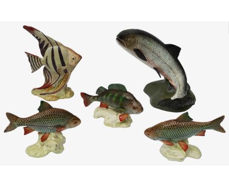 Five Beswick Fish comprising Salmon 2066 gloss on matte base, Angel Fish 1047, Roach 1874 x 2, Perch 1875, (5)first height 18