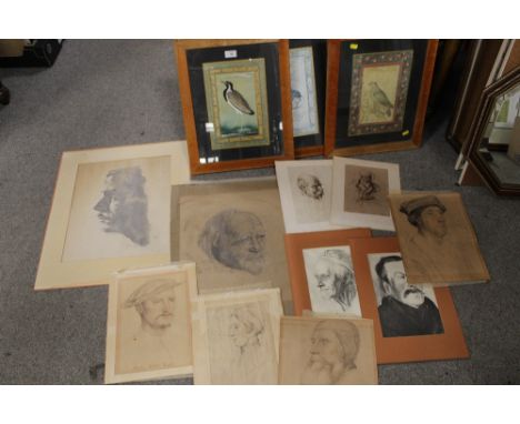 THREE FRAMED AND GLAZED BIRD PRINTS IN MAPLE STYLE FRAMES, TOGETHER WITH A COLLECTION OF UNFRAMED PORTRAIT STUDIES TO INCLUDE