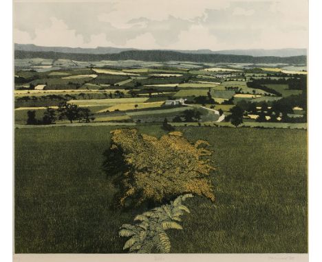 Phil Greenwood (b.1943) Fields, 1979 artist's proof III, signed, titled, and dated in pencil (in the margin) etching and aqua