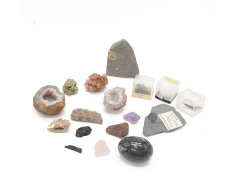 Collection of mineral and fossil specimens, including Trilobite in a matrix, shark tooth, ruby schist etc 