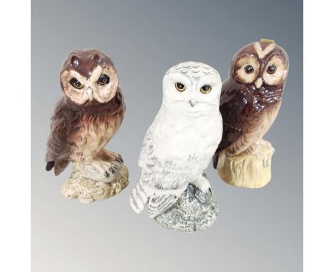 Three Whyte & MacKay Scotch Whisky owl decanters : Snowy Owl, 200ml, Tawny Owl, Short Eared Owl 