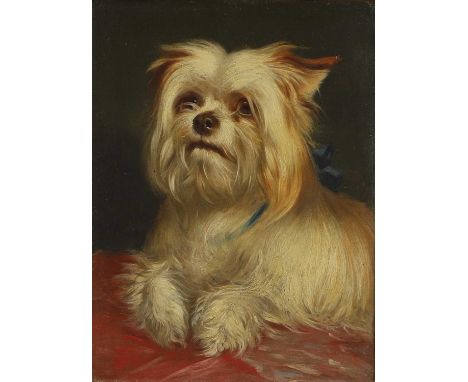English School, late 19th century A Yorkshire terrieroil on board21 x 15cmCondition ReportOverall: 36 x 31cmA little light su