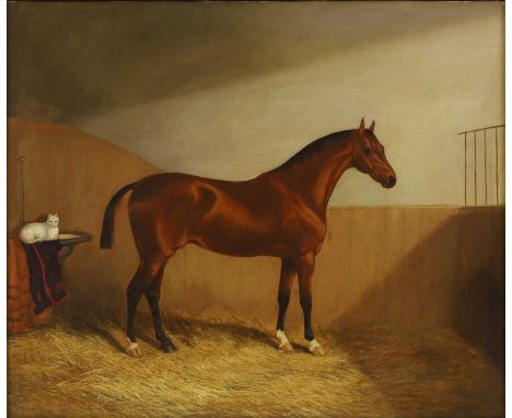 Martin Theodore Ward (1799-1874) 'Thrumpton Lass', a chestnut hunter in a stable with a white catsigned 'M. T. Ward' l.r., in