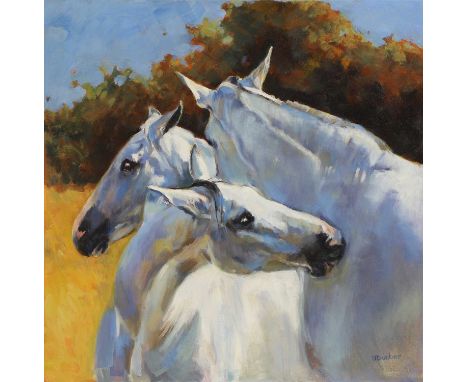 ▲ Debbie Dunbar (b.1963) 'My Mutual Friends' - a study of grey horsessigned 'D Dunbar' l.r., oil on canvas49.5 x 49.5cmCondit