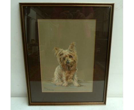 M Jarvis, Portrait of a terrier, pastel on paper, signed lower left, framed, 36 x 26cm