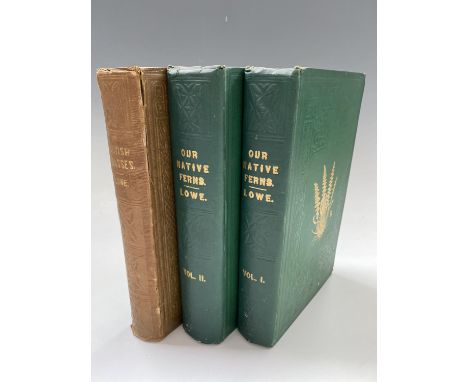 E. J. LOWE. 'Our Native Ferns'. Two volumes, many coloured plates, original cloth, inscribed and dated by previous owner, sli