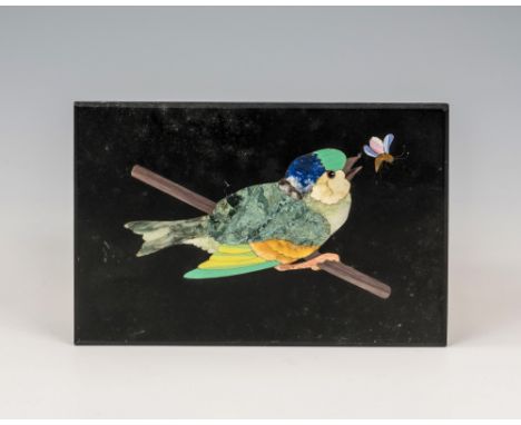 A 19th century Italian grand tour pietra dura plaque of a bird, the black slate inlaid in coloured hardstones to depict a bir