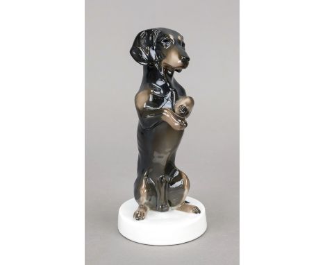 Männchen-machender Dackel, Rosenthal, Selb, 1920er Jahre, Entwurf  Meyer-Pyritz, Modellnr. K 248, polychrom bemalt in natural