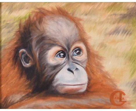 Carla Hixon (British Contemporary) Baby Orangutan 'Jamartin', signed lower right, oil on board, 19 x 24 cm, frame 31 x 37 cm,