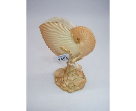 A Royal Worcester blush ivory Nautilus shell with coral shape support and shell, encrusted base, 6 3/4" tall, date 1900, shap