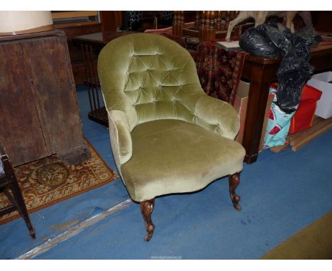 An Olive green Velvet/Dralon upholstered button-back tub armchair standing on scroll front legs.