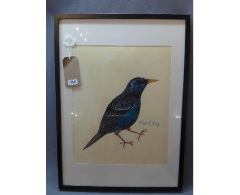 20th century school, 'Starling', coloured lithograph, 49 x 39cm 