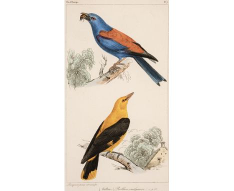 Prevost (Florent). Histoire Naturelle des Oiseaux D'Europe, Paris: F. Savy, [1864], additional illustrated title, 80 hand-col