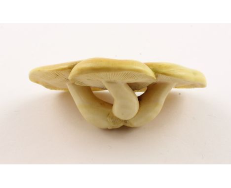 NETSUKE DREI PILZE, Elfenbein, die Pilze haben einen glatten Hut und fein geschnitzte Lamellen, L 8, JAPAN, 19.Jh. Expertengu