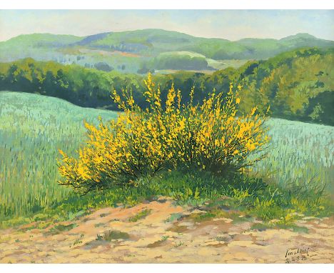 DEIKER, Carl (1879-1958), "Blühender Ginster in der Eifel", Öl/Malkarton, 64 x 50, unten rechts signiert und "14" datiert, R.