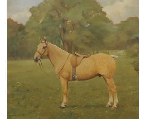 FLORENCE MABEL HOLLAMS (1877-1963) British (AR), A Portrait of a Palomino Hunter in a Field, oil on panel, signed and dated '