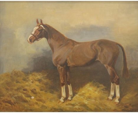 THOMAS IVESTER LLOYD (1873-1942) British, A Portrait of a Blood Bay Hunter in a Stable, oil on canvas, signed, framed. 49 x 3