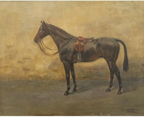THOMAS IVESTER LLOYD (1873-1942) British, A Portrait of a Dark Bay Hunter in a Stable, oil on canvas, signed, framed. 49.5 x 